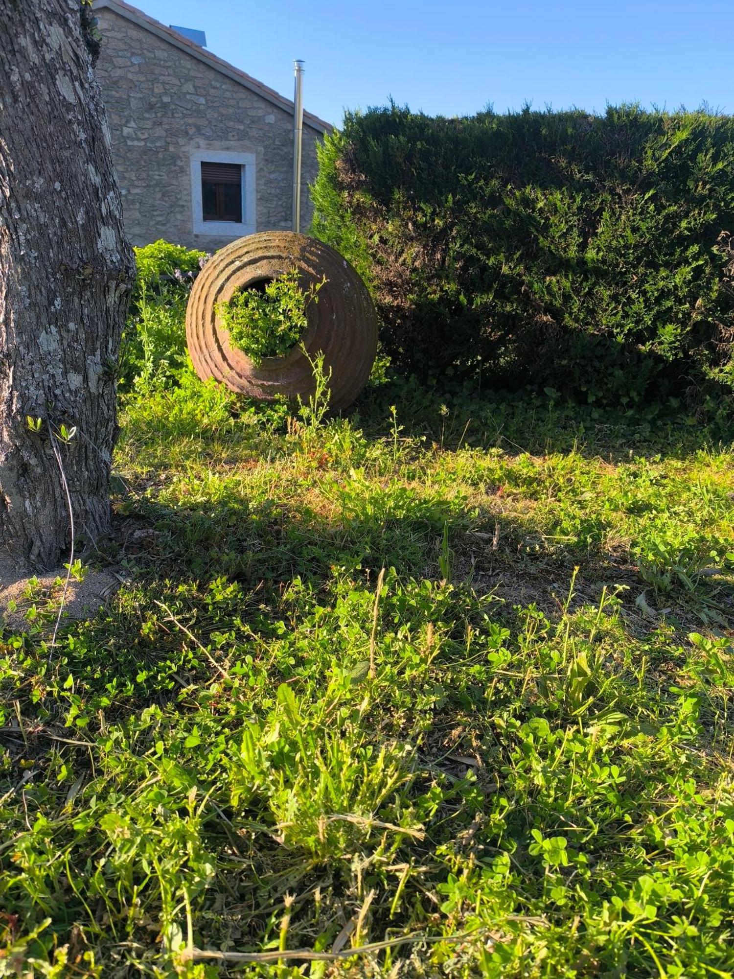 Cabanas Miraduero Aldeadávila de la Ribera Zewnętrze zdjęcie